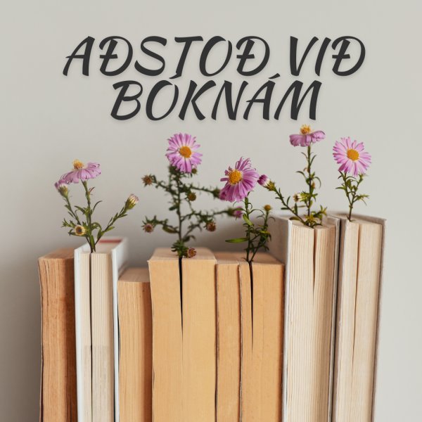 Aðstoð við bóknám