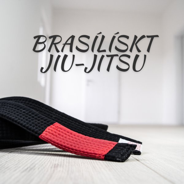 Brasílískt Jiu-jitsu